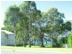 17 Mulwala Drive, Wyee Point NSW 2259