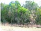 552 Bushells Ridge Road, Wyee NSW 2259
