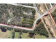 552 Bushells Ridge Road, Wyee NSW 2259