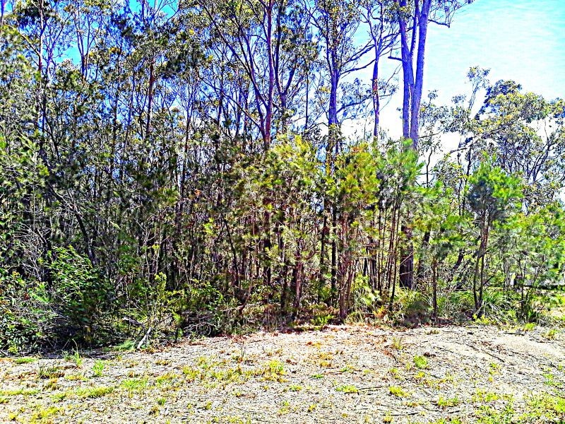 6 Pirama Road, Wyee NSW 2259