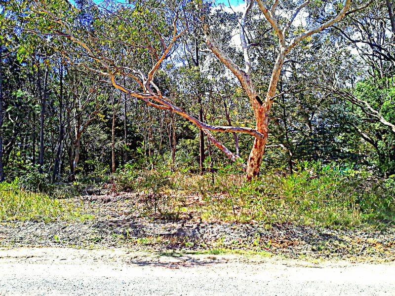 6 Pirama Road, Wyee NSW 2259
