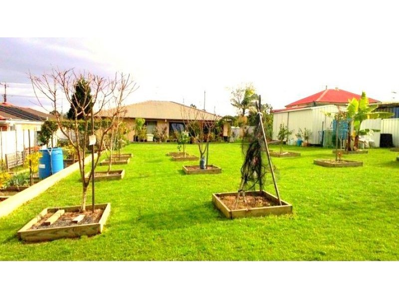 153 Wyee Road, Wyee NSW 2259