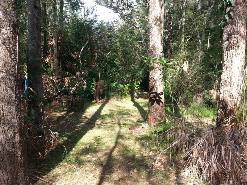 139 Freemans Drive, Morisset NSW 2264