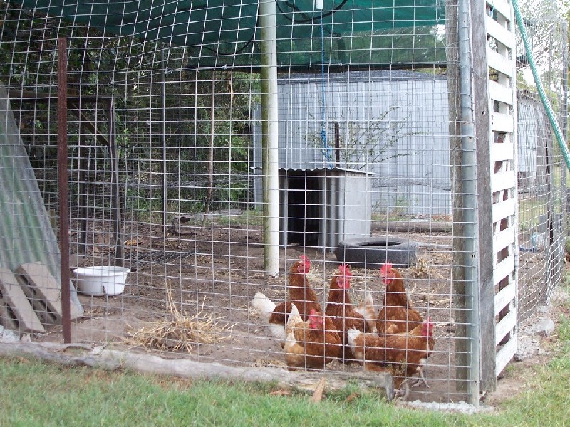 South Kolan QLD 4670