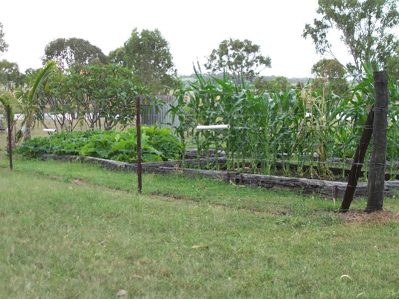 South Kolan QLD 4670