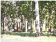 Avondale QLD 4670