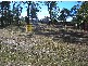 Aldershot QLD 4650