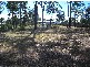 Aldershot QLD 4650