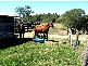 Bungadoo QLD 4671