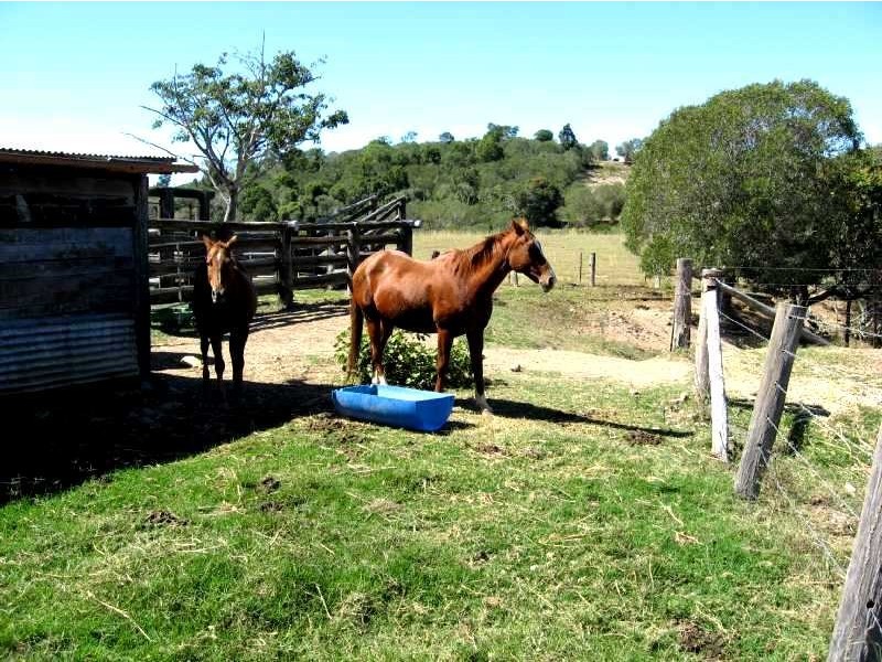 Bungadoo QLD 4671