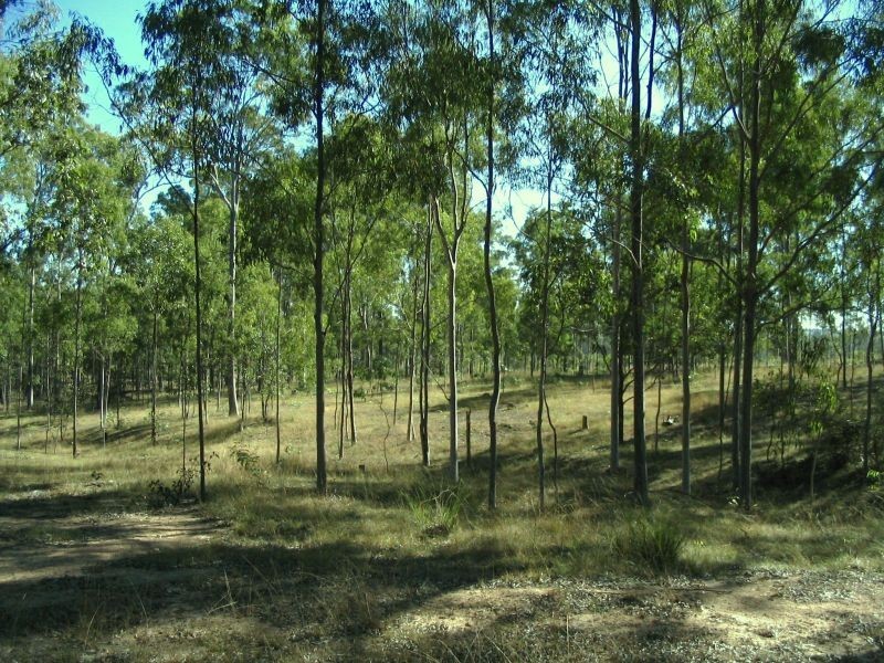Pine Creek QLD 4670