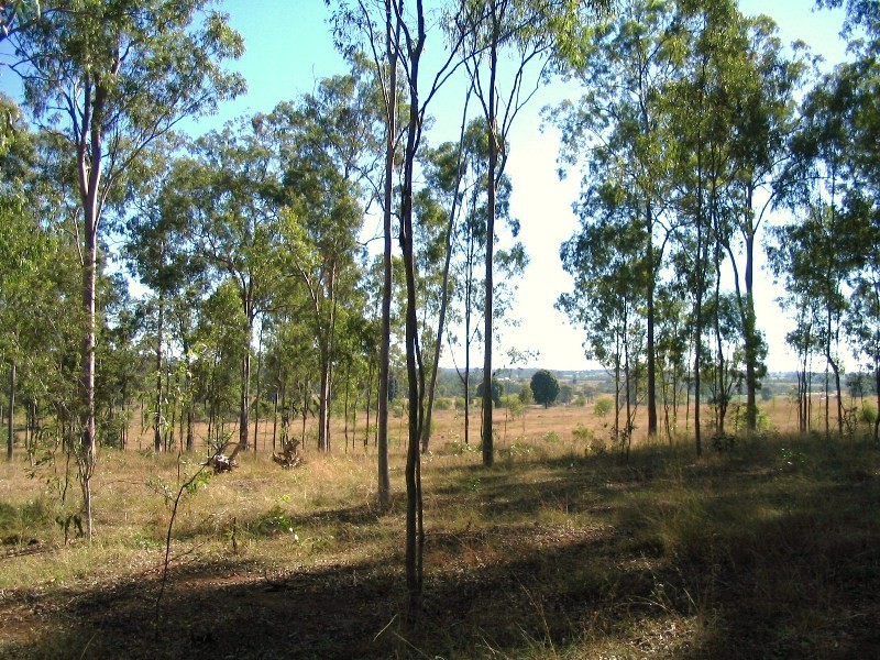 Pine Creek QLD 4670