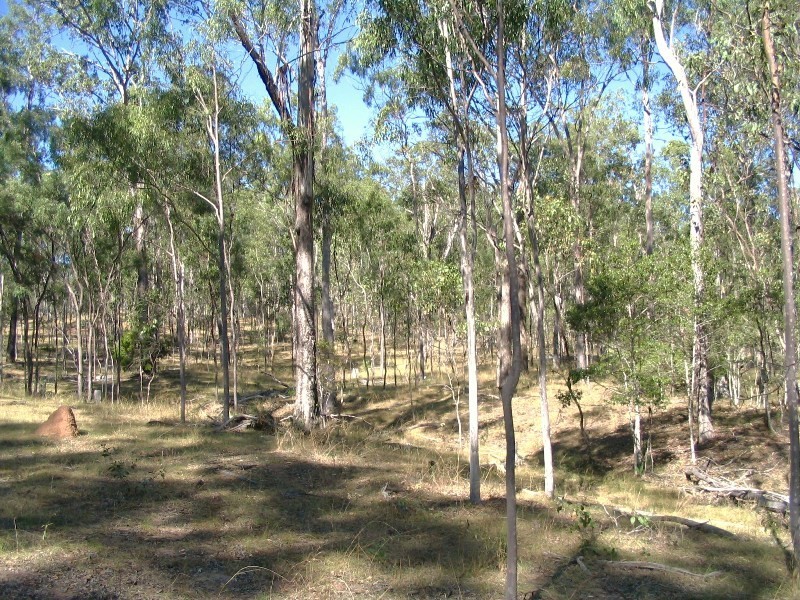 Pine Creek QLD 4670