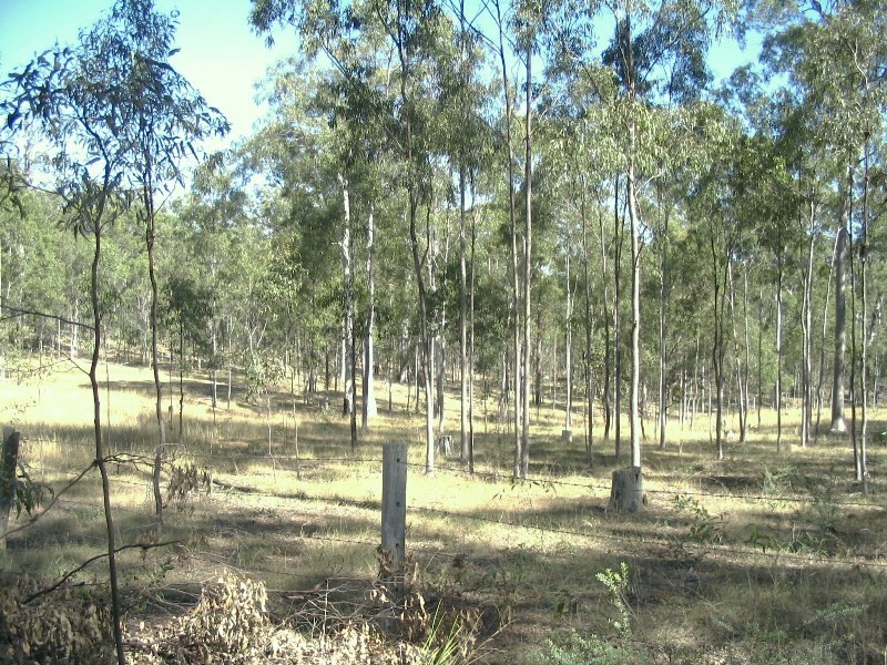 Pine Creek QLD 4670
