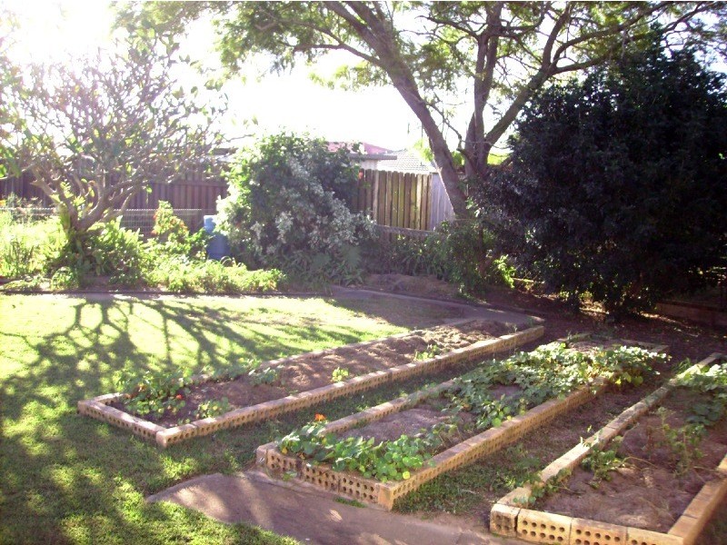 Svensson Heights QLD 4670