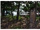 Toogoom QLD 4655