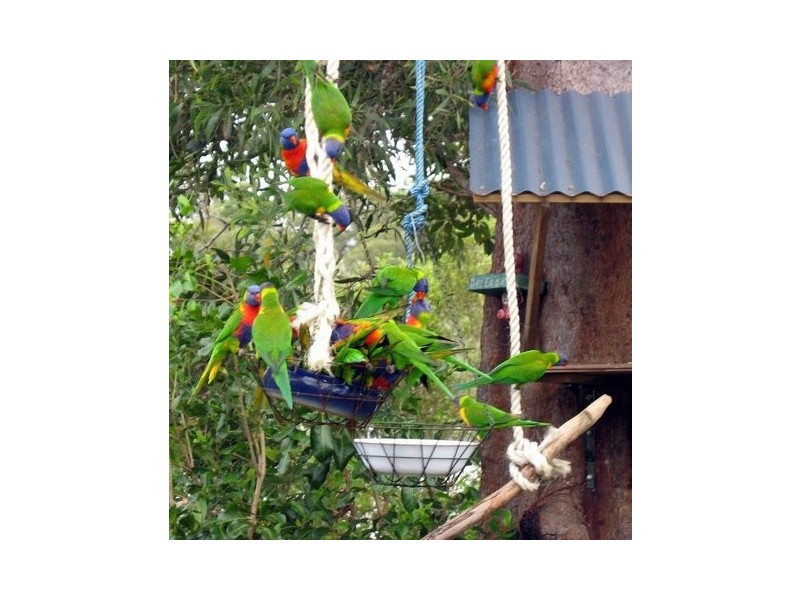 244 Pacific Haven CCT, Pacific Haven QLD 4659