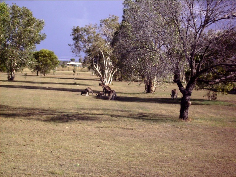 21 Clydesdale Ave, Bundaberg QLD 4670