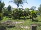 Abbotsford QLD 4670