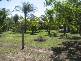 Abbotsford QLD 4670