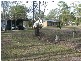 South Bingera QLD 4670