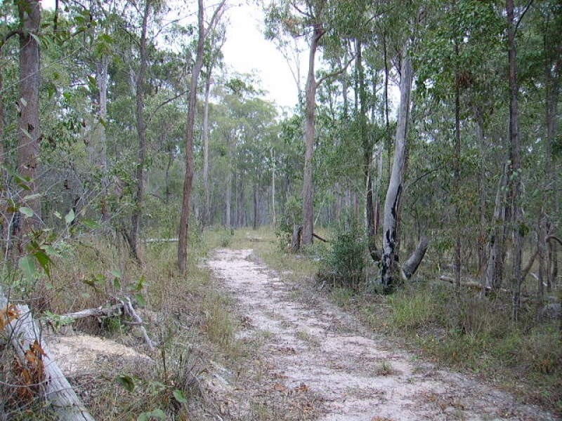 South Bingera QLD 4670