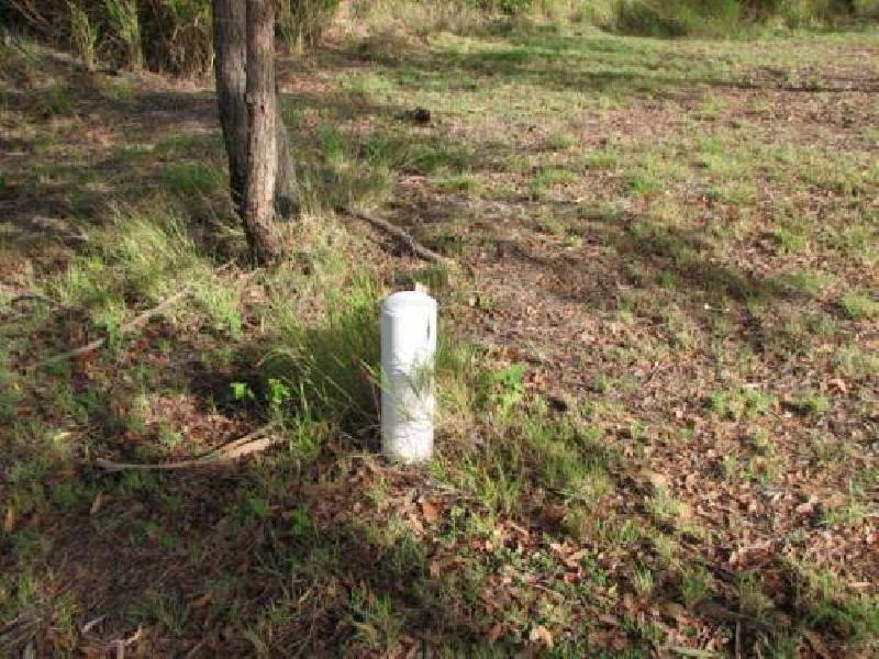 Abbotsford QLD 4670