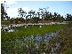 Moorland QLD 4670