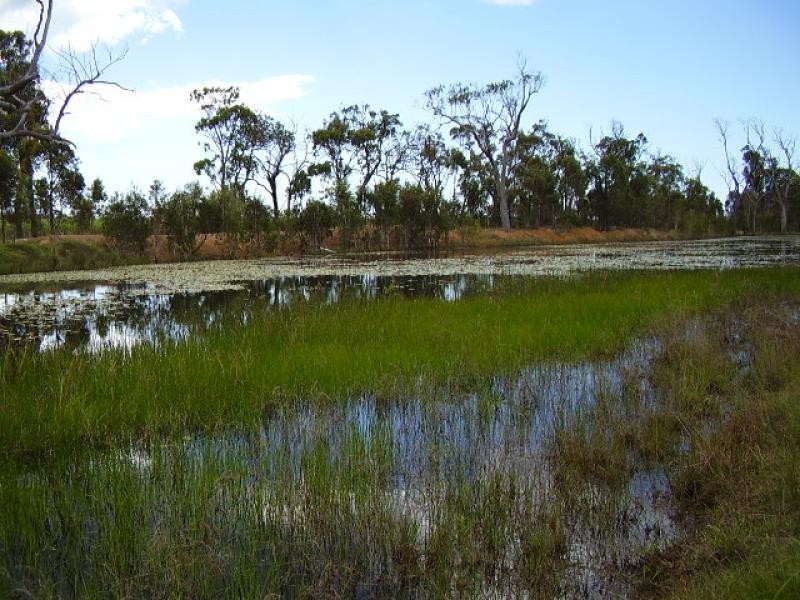 Moorland QLD 4670