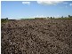 Moorland QLD 4670