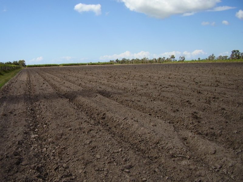 Moorland QLD 4670