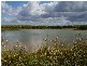 Moorland QLD 4670