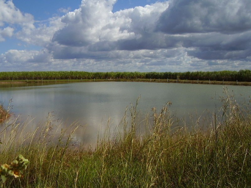 Moorland QLD 4670