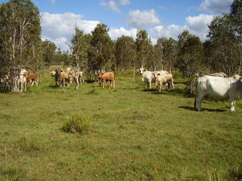 Moorland QLD 4670