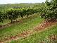 Abbotsford QLD 4670