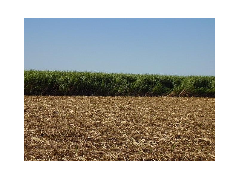 1063 Gin Gin Road, Sharon QLD 4670