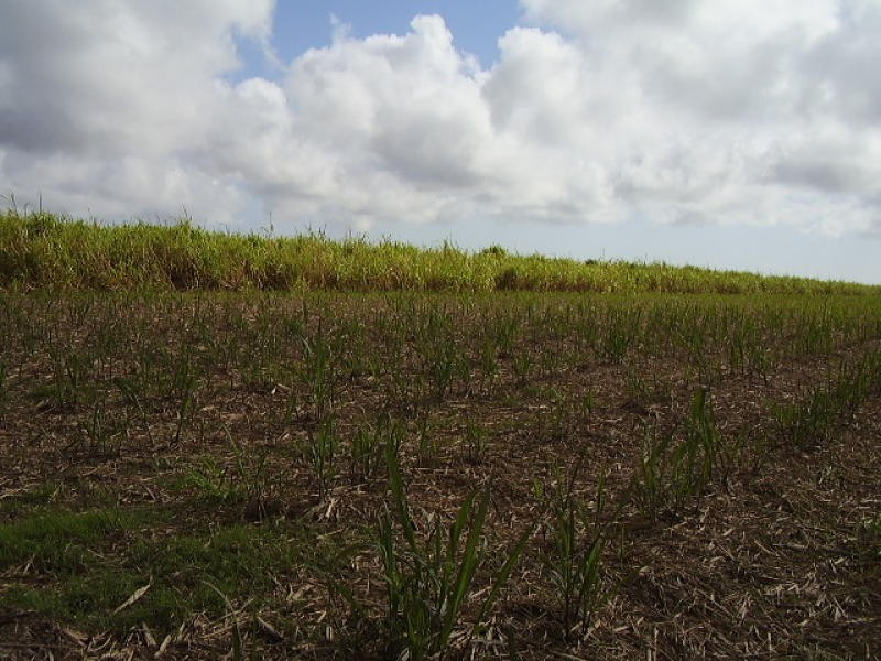 Welcome Creek QLD 4670