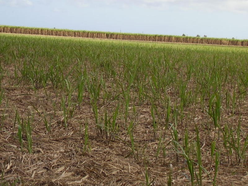 Welcome Creek QLD 4670