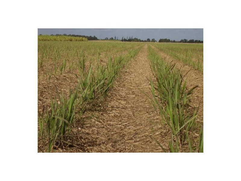 Welcome Creek QLD 4670