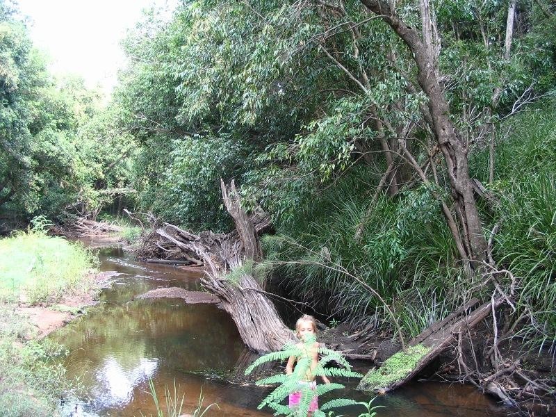 Baffle Creek QLD 4674