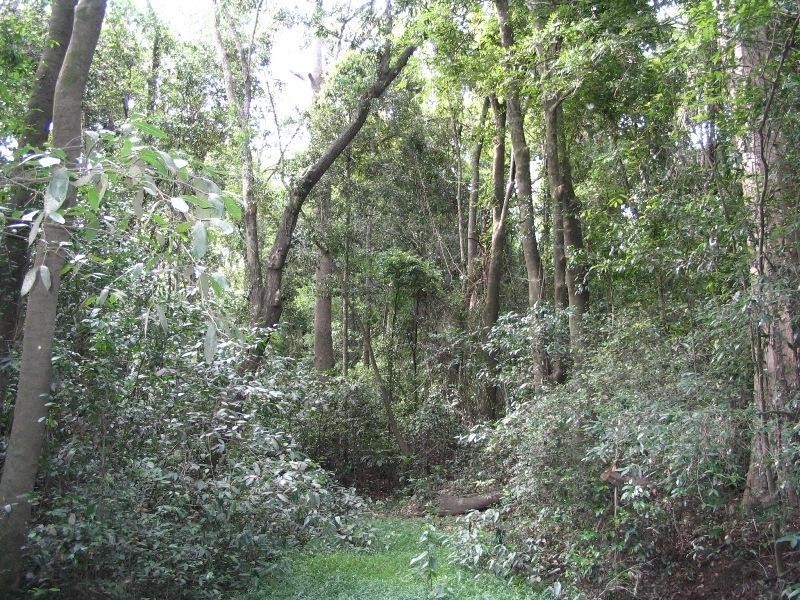 Baffle Creek QLD 4674
