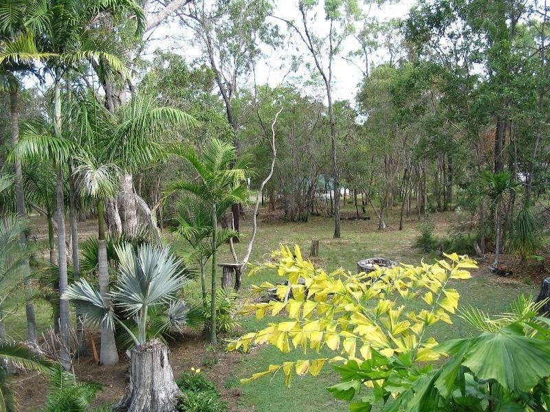 Baffle Creek QLD 4674