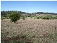 Bungadoo QLD 4671