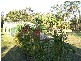 Buxton QLD 4660