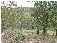 Gin Gin QLD 4671