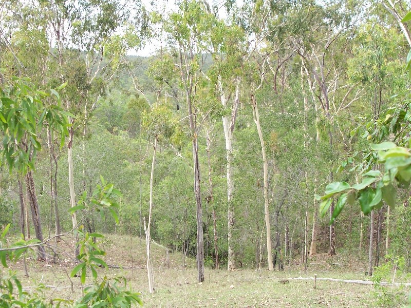 Gin Gin QLD 4671
