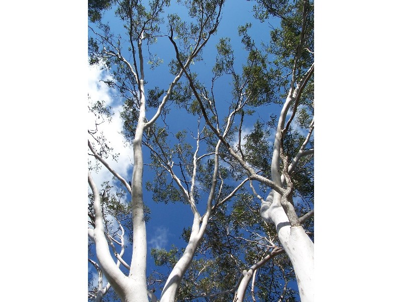Bucca QLD 4670