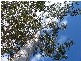 Bucca QLD 4670