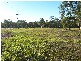 Bucca QLD 4670