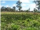 Bucca QLD 4670